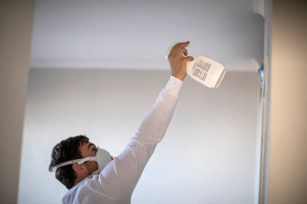 Best Localized Mold Remediation (e.g., coastal areas, humid climates) in Belmont, PA